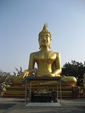 Golden Buddah 03